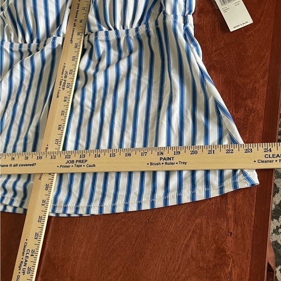 Women Plus Size Swim Tankini Too 18W Raisins Curve Shaper Underwire Striped Blue - Picture 5 of 11